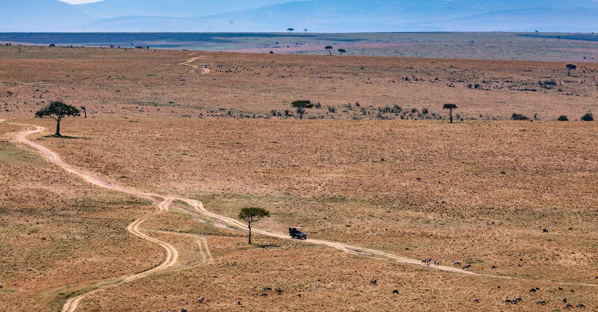 How do I clear the Dragon in Level 5 of the Endless Paths? - Breathtaking landscape of dry terrain with paths and rare trees near mountains under blue cloudy sky