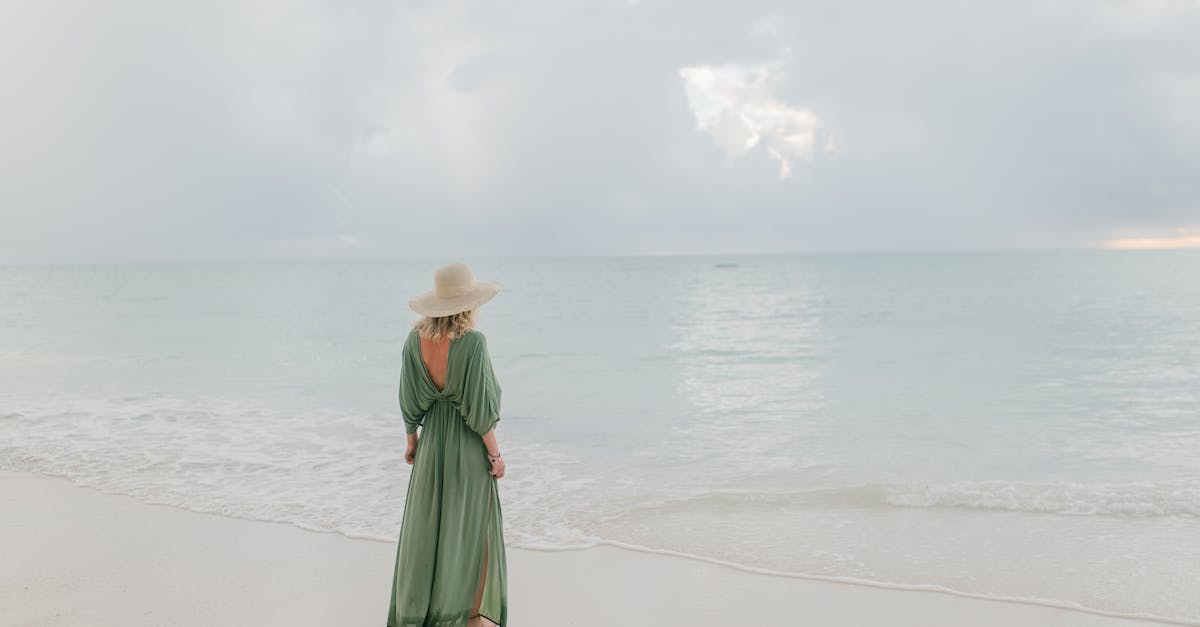 How do I clear the Dragon in Level 5 of the Endless Paths? - Woman in dress and hat admiring seascape under cloudy sky
