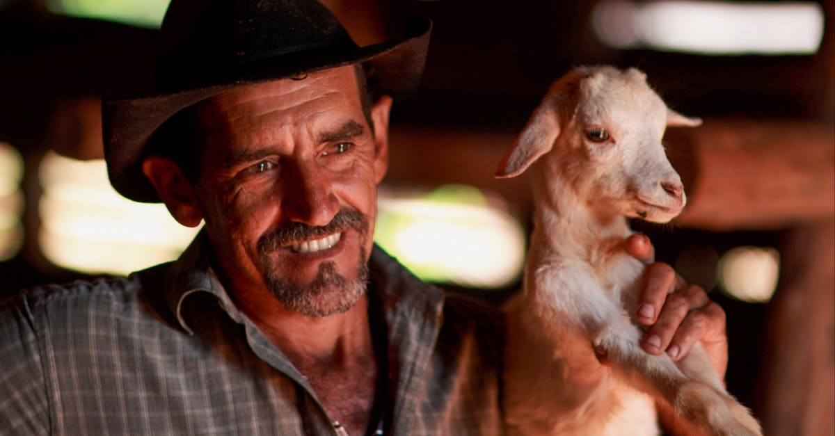 How do I complete the Old Goat quest in Goat MMO Simulator? - Man in Brown Cowboy Hat Carrying White and Brown Short Coated Dog How do I complete the Old Goat quest in Goat MMO Simulator? - Man in Brown Cowboy Hat Carrying White and Brown Short Coated Dog