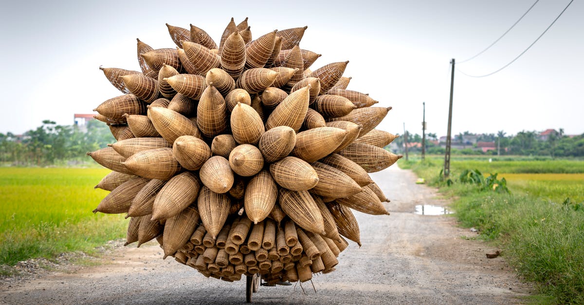 How do I craft a fishing pole? - Back view of anonymous person riding bicycle with huge bunch of traditional bamboo fish traps in countryside on summer day