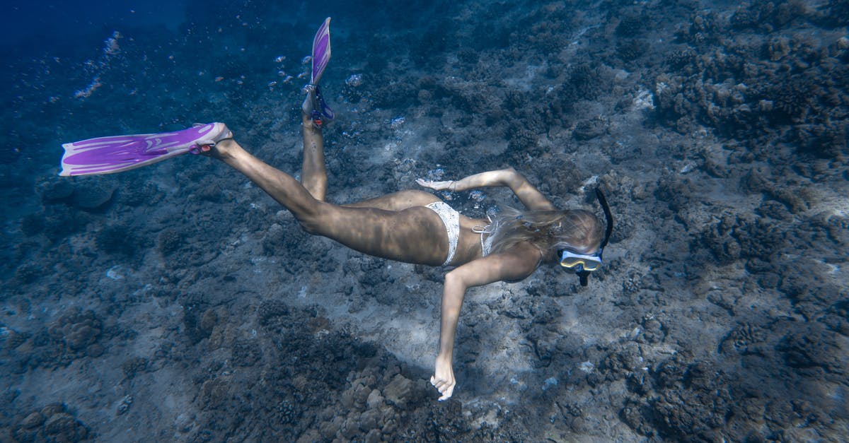 How do I defeat the Spawn of Rovagug at the bottom of the Tenebrous Depths? - Anonymous lady swimming undersea near reef How do I defeat the Spawn of Rovagug at the bottom of the Tenebrous Depths? - Anonymous lady swimming undersea near reef