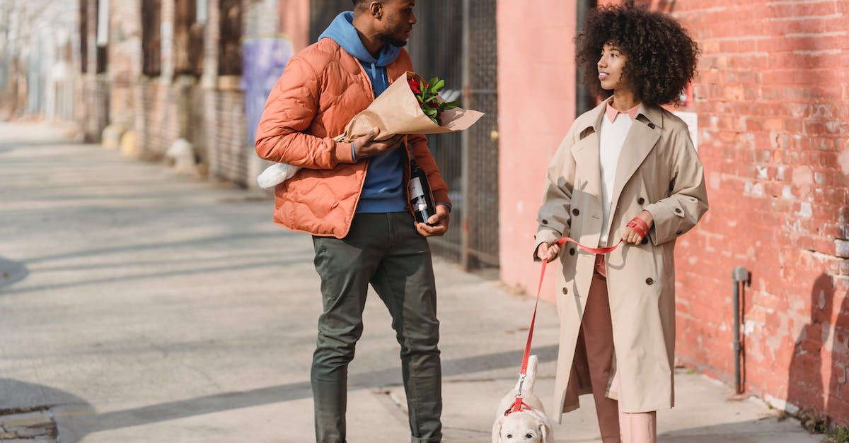 How do I delete my town and player on Animal Crossing New Leaf - Full body of young African American couple with cute domestic dog and bottle of wine on street How do I delete my town and player on Animal Crossing New Leaf - Full body of young African American couple with cute domestic dog and bottle of wine on street