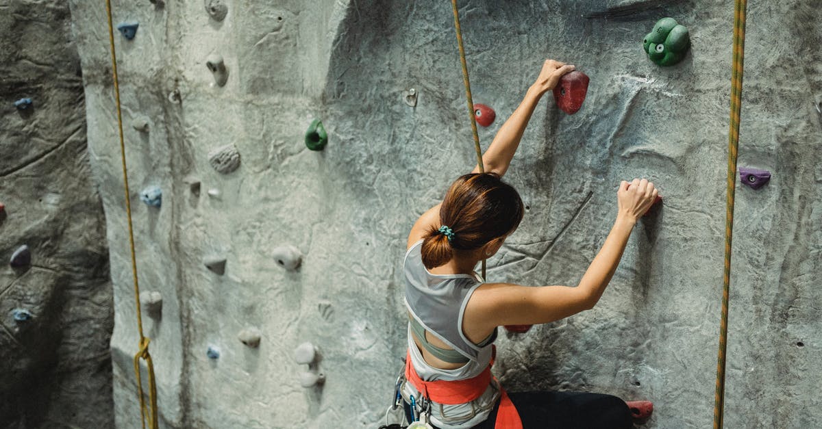 How do I determine whether my pokemon scales with physical or special damage? - From above of anonymous female climber in activewear with special equipment climbing on climbing wall in gym