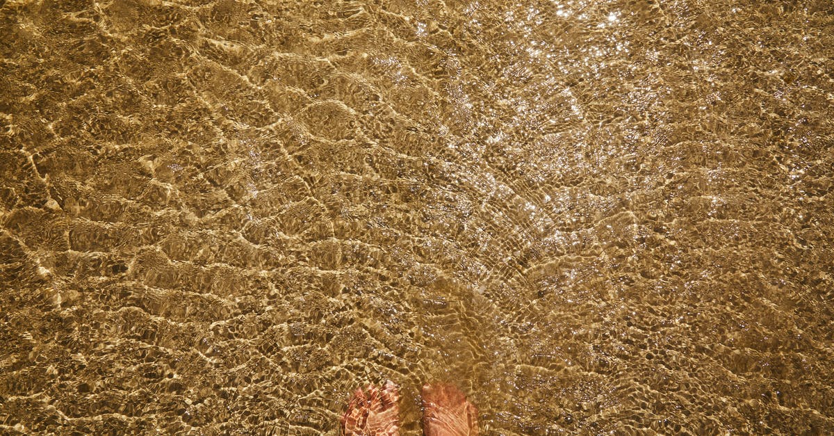 How do I escape from the bottom of the ocean? - Top view of crop anonymous barefoot female standing in pure transparent rippling water of sea with sandy bottom How do I escape from the bottom of the ocean? - Top view of crop anonymous barefoot female standing in pure transparent rippling water of sea with sandy bottom