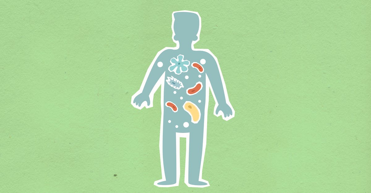 How do I expand my globe? - From above of cutout cardboard illustration of person with different bacteria spreading in body on green background
