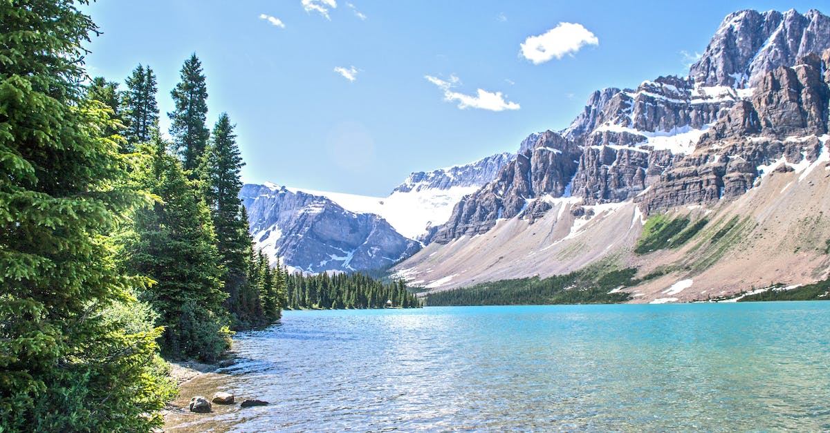 How do I explore unknown land (terra incognita)? - Green Trees Near Body of Water