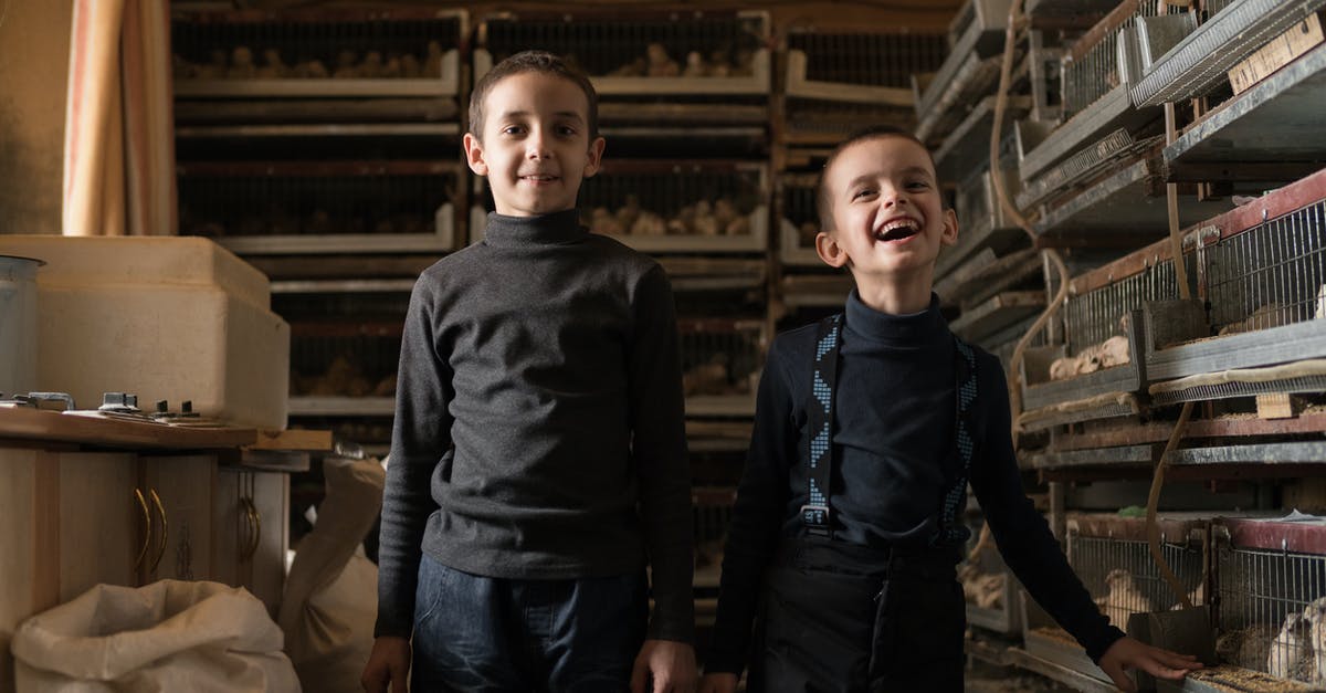 How do I feed the locals? - Positive little children standing at bird factory How do I feed the locals? - Positive little children standing at bird factory