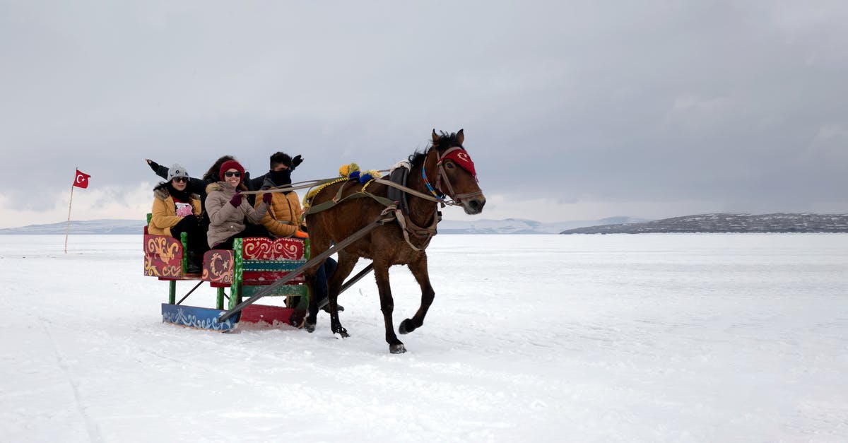 How do I find Frost the Horse if he runs away during "Promises to Keep"? - People Riding on Horse on Snow Covered Ground