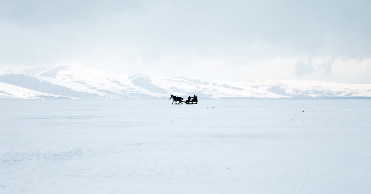 How do I find Frost the Horse if he runs away during "Promises to Keep"? -  Silhouette Of A Horse With Sled on Snow Covered Ground