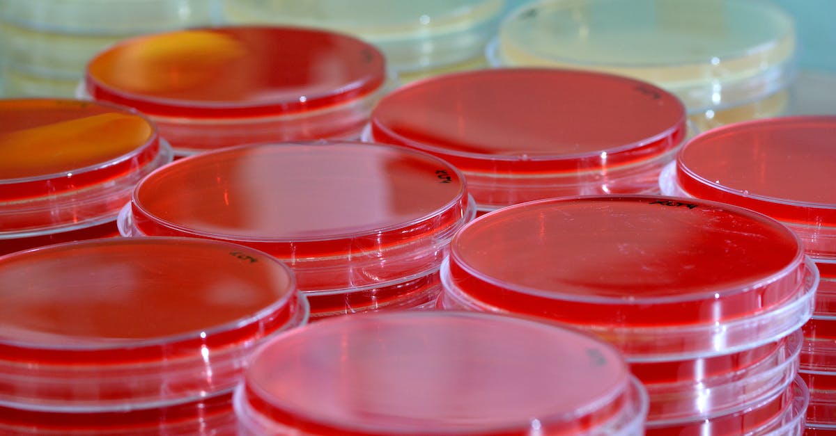 How do I get a blood sample from the Manbat? - Transparent containers with blood samples in lab