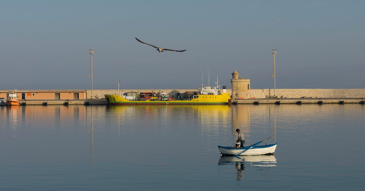 How do I get an animal out of a boat? - Free stock photo of boat, dawn, fisherman