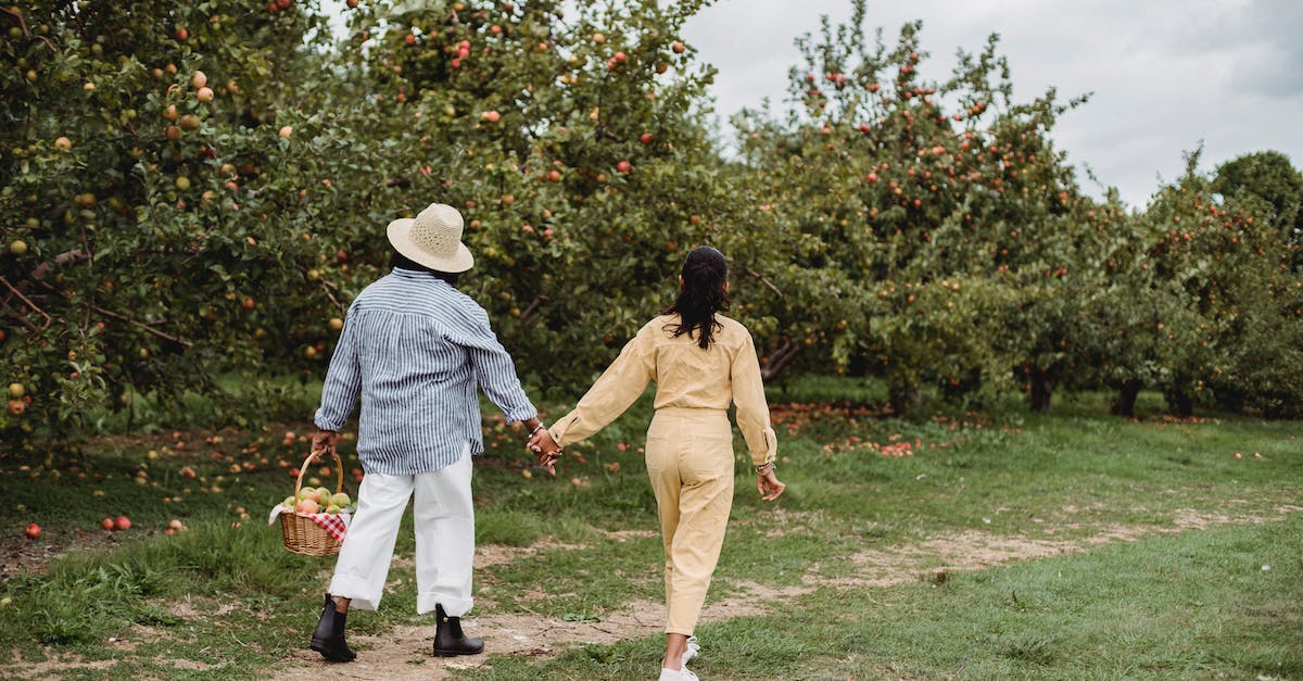 How do I get back to the village without dying? - Back view full body of unrecognizable mother and daughter holding hands while strolling together along trees with basket of apples How do I get back to the village without dying? - Back view full body of unrecognizable mother and daughter holding hands while strolling together along trees with basket of apples