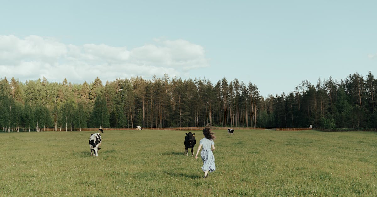 How do I get back to the village without dying? - Man in White Long Sleeve Shirt and Black Pants Standing on Green Grass Field How do I get back to the village without dying? - Man in White Long Sleeve Shirt and Black Pants Standing on Green Grass Field