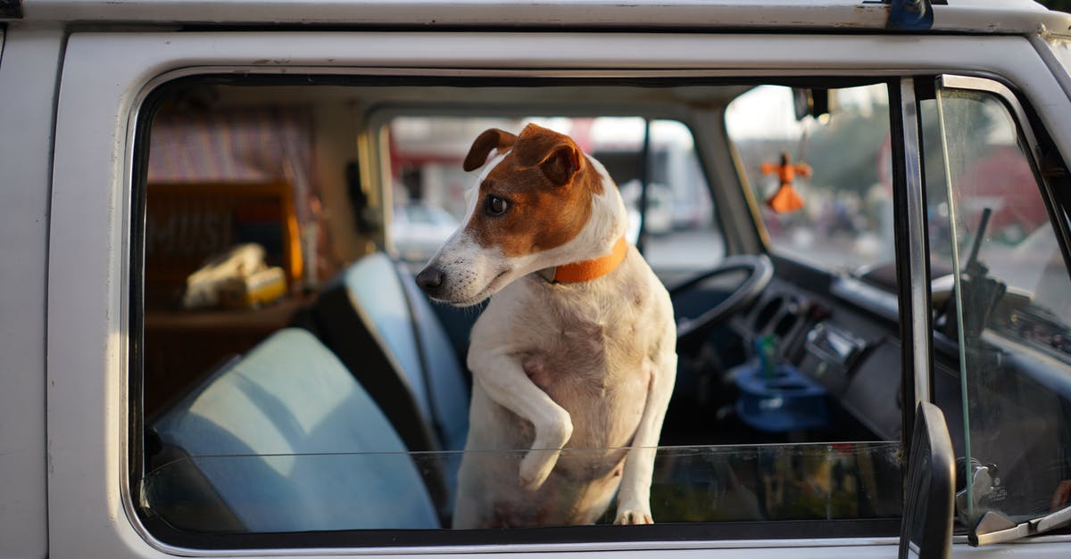 How do I get better performance with Watch Dogs in Windows 10, compared to Windows 7? - Dog in Car Window How do I get better performance with Watch Dogs in Windows 10, compared to Windows 7? - Dog in Car Window