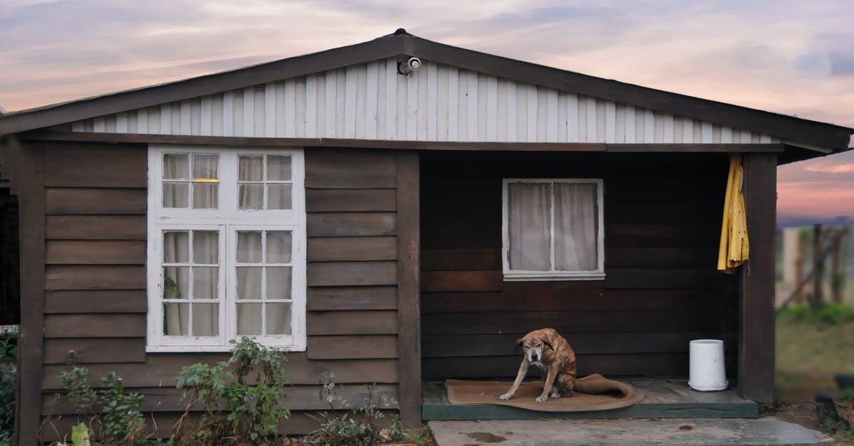 How do I get better performance with Watch Dogs in Windows 10, compared to Windows 7? - Photo Of A Dog On The Porch