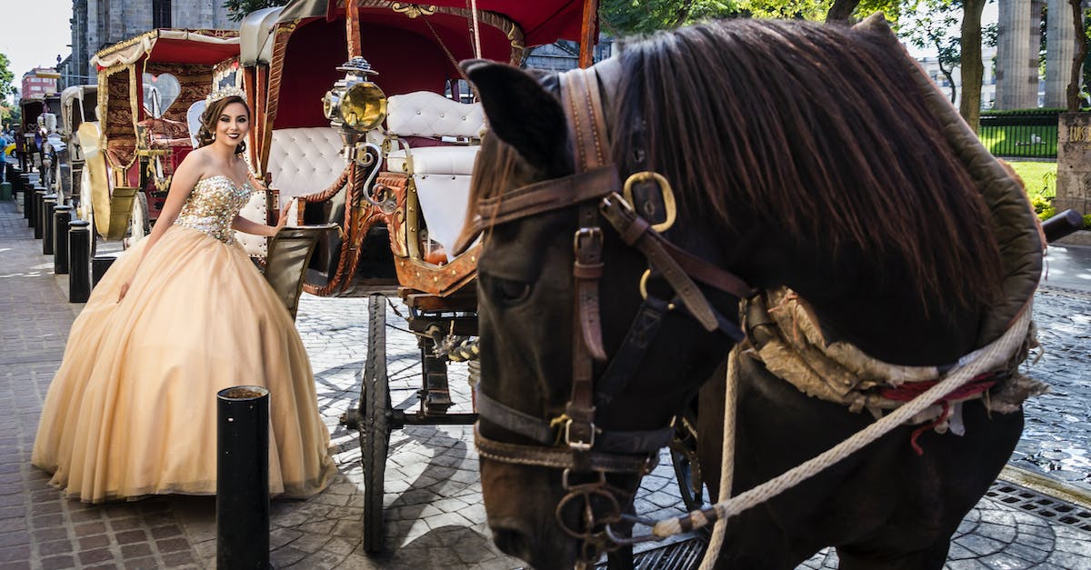 How do I get Cobblestone in Minecraft PE? - Young Woman in Retro Dress Getting in Carriage