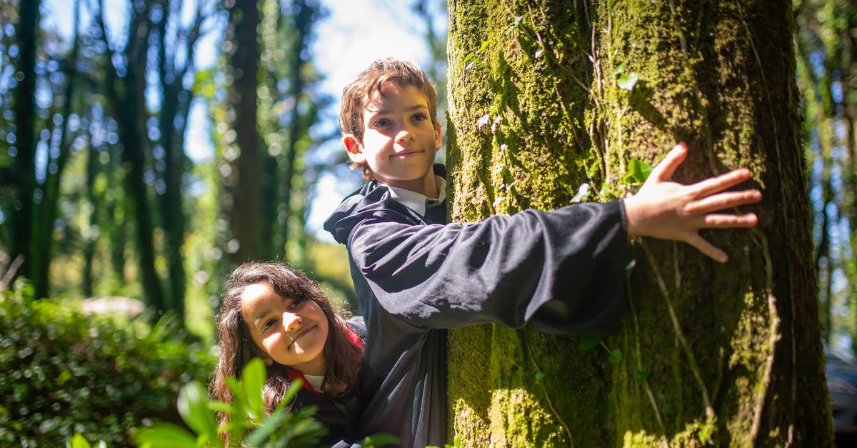 How do I get Dark Characters in Lego Harry Potter? [duplicate] - A Boy Hugging the Tree Trunk