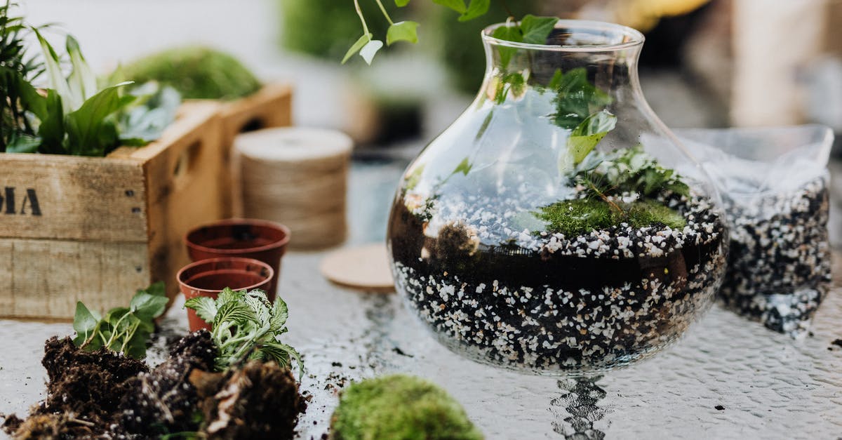 How do i get farmers to replant what i want to have them replant - Green Plants Inside a Terrarium