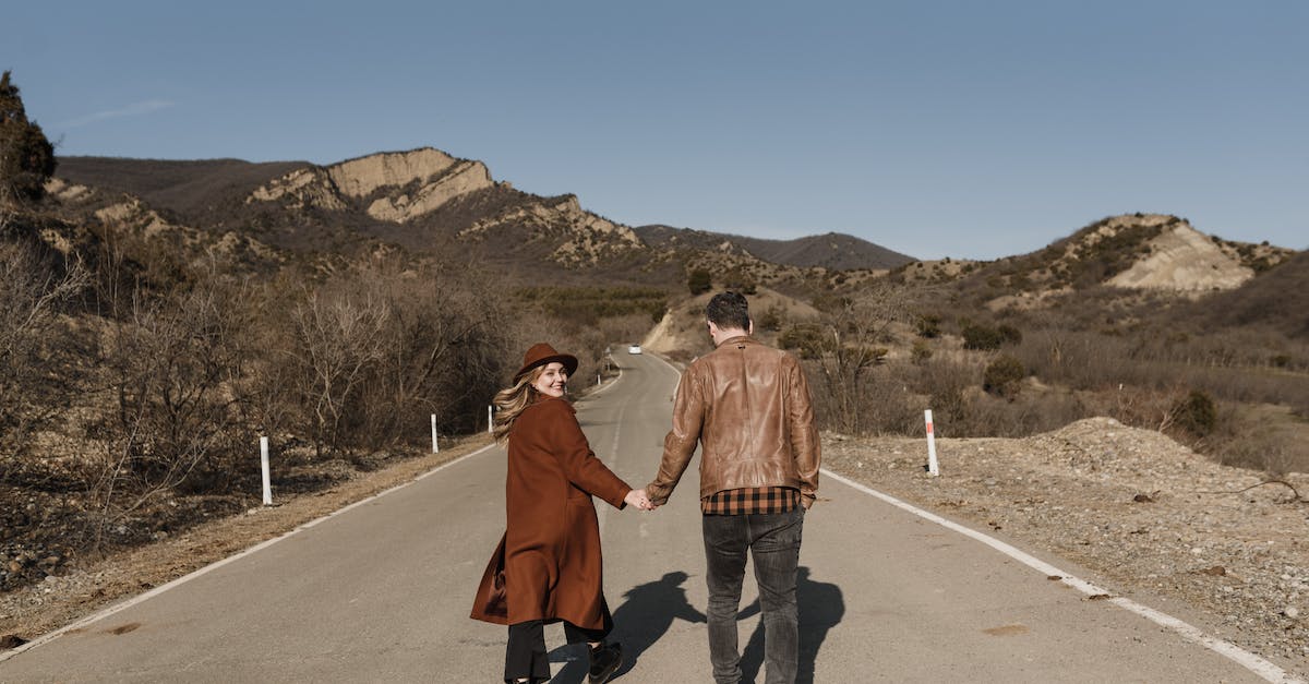 How do I get leather in Agrarian Skies? - Couple Walking on the Road Holding Hands