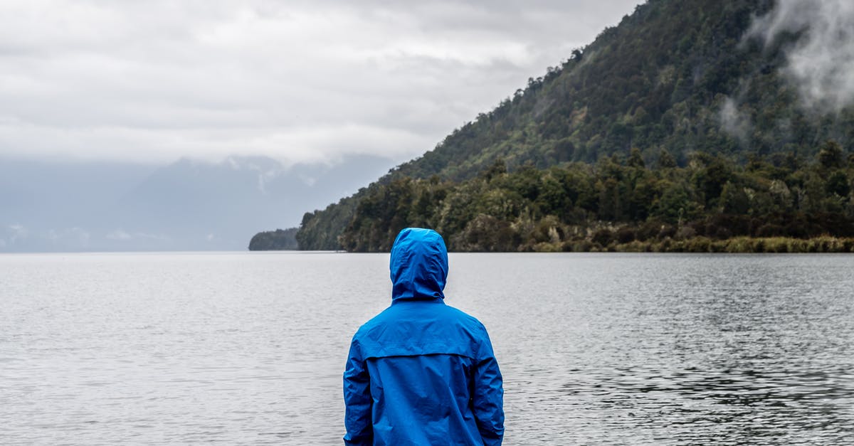 How do I get my island beetles back? - Person Wearing Blue Hoodie Near Body of Water How do I get my island beetles back? - Person Wearing Blue Hoodie Near Body of Water