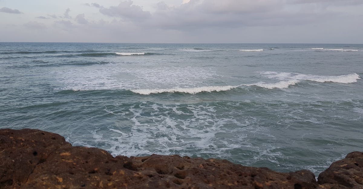 How do I get Rocky bees in Agrarian Skies? - Ocean Waves Crashing on Brown Rocky Shore Under White Cloudy Sky