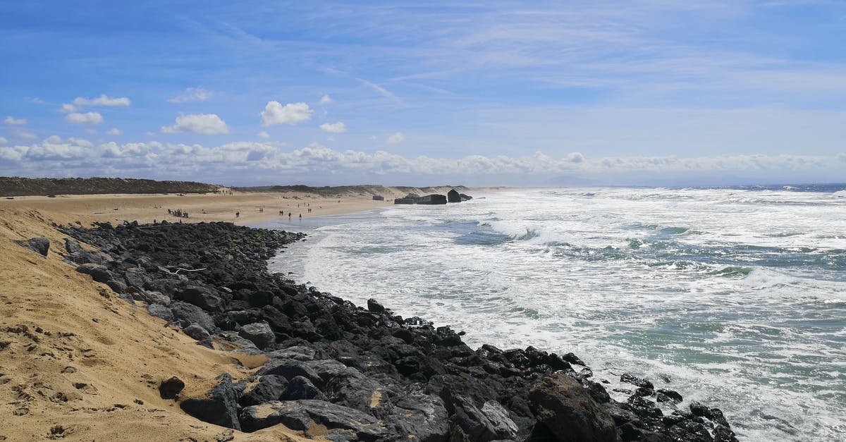 How do I get Rocky bees in Agrarian Skies? - Brown Sand Beach With Blue Ocean Water Under Blue Sky