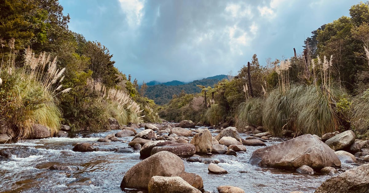 How do I get Rocky bees in Agrarian Skies? - Rocky River With Rocks Under Blue Sky