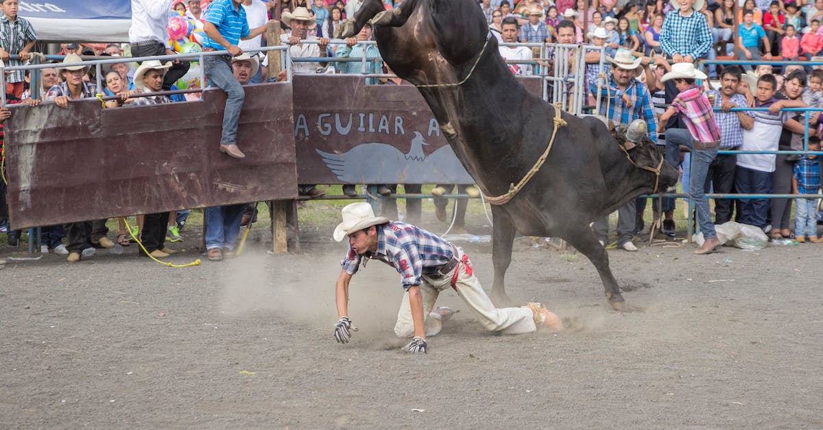 How do I get rodeo kills? - A Man Crawling Beside the Black Bull