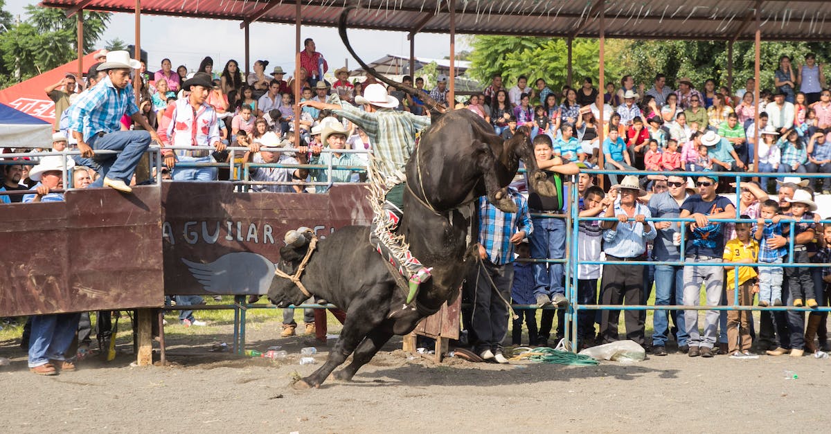 How do I get rodeo kills? - A Man Riding a Bull