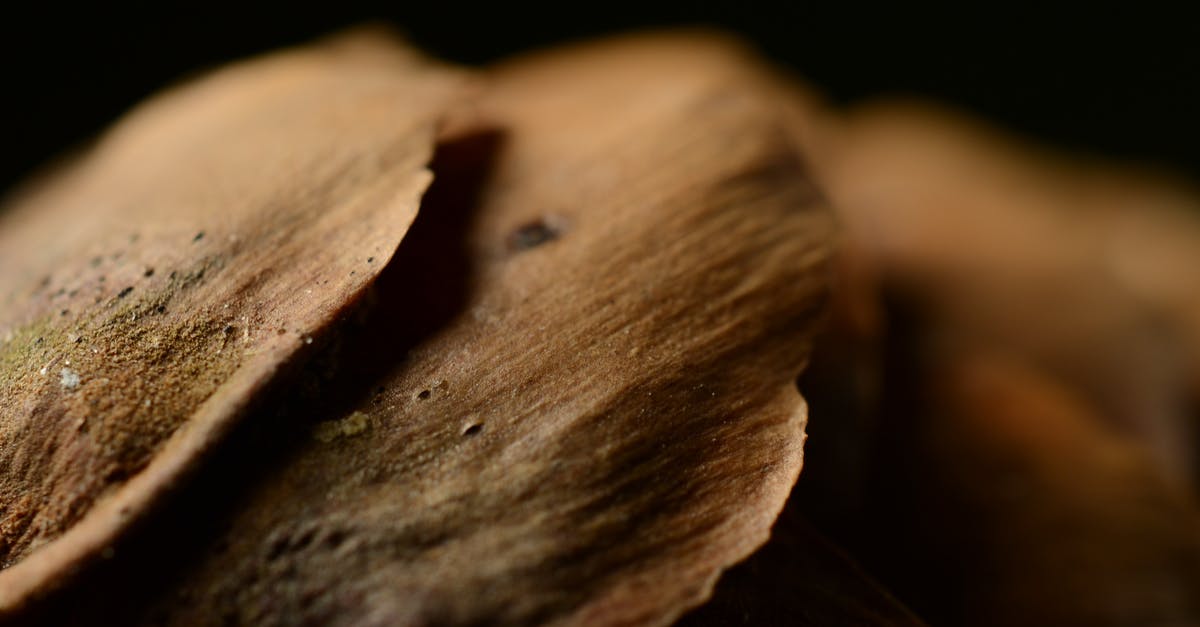 How do I get shadow achievements in Cookie Clicker? - Selective-focus Photography of Brown Surface