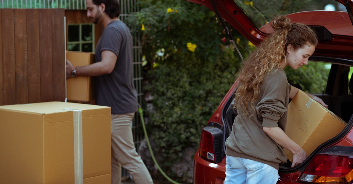 How do I get the new pets, Orby and Asmody? - Focused young woman with curly hair taking cardboard package out from red automobile trunk on street near stack of moving boxes while bearded ethnic man carrying box into new house