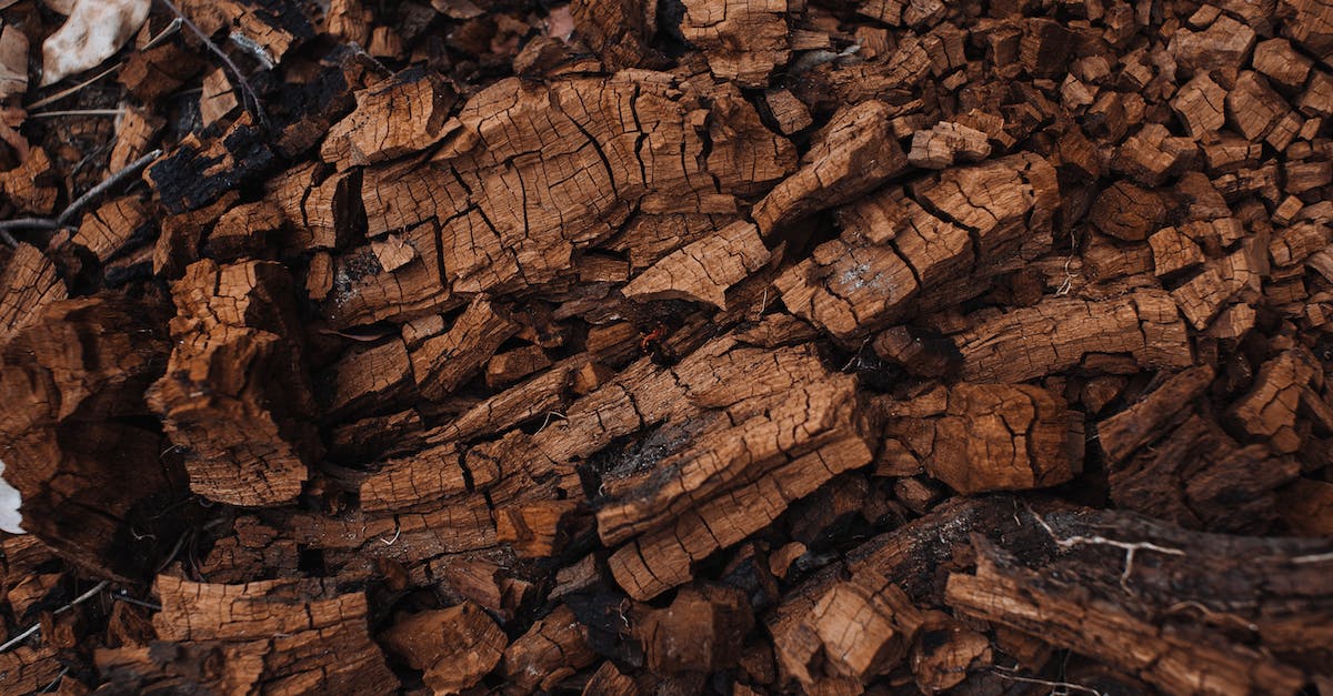 How do I get the quest from the brown aliens of Silence? - Textured background of dry tree bark on land
