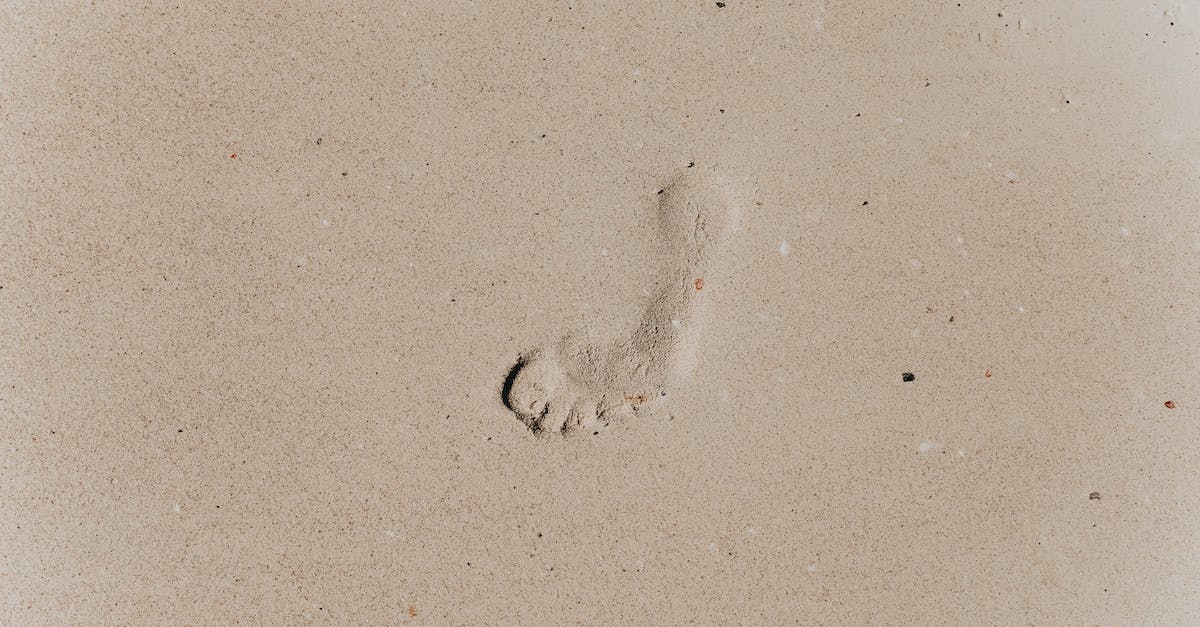 How do I get the quest from the brown aliens of Silence? - Top view of footprint on brown sandy coast with loose texture in daytime