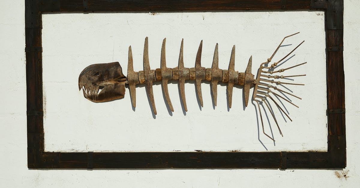 How do I get these weird Material Emancipation Grills? [closed] - Handmade skeleton of predatory fish with sharp teeth in black frame hanging on wall