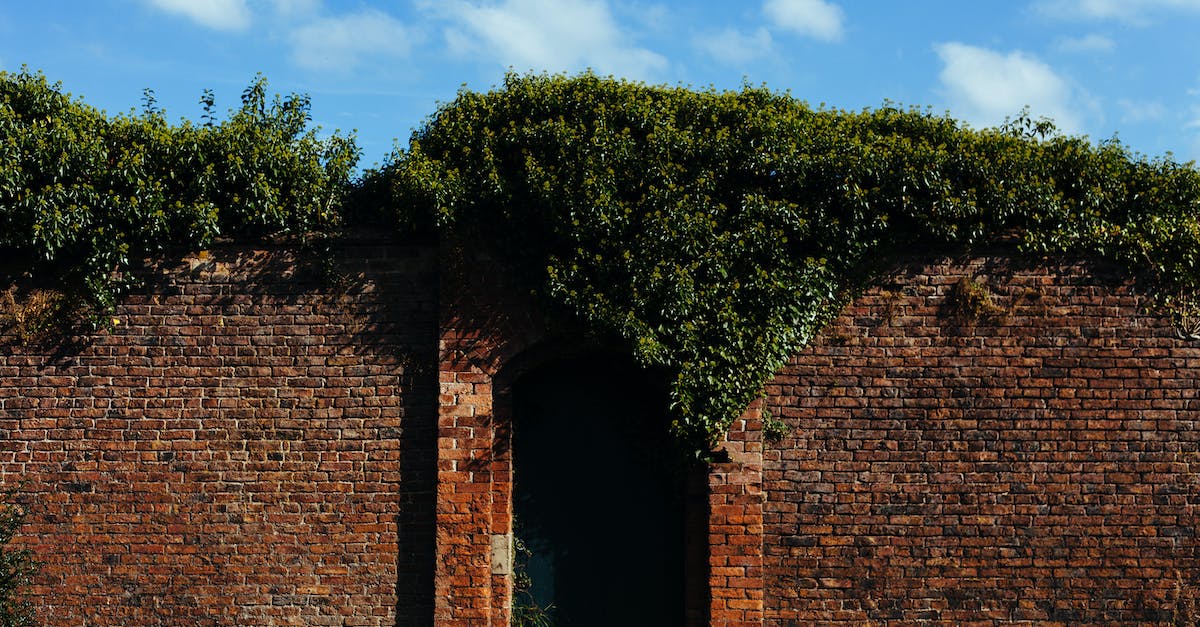 How do I get through the locked door in Freya's Garden? - Brown Brick Wall Surrounded With Green Plant