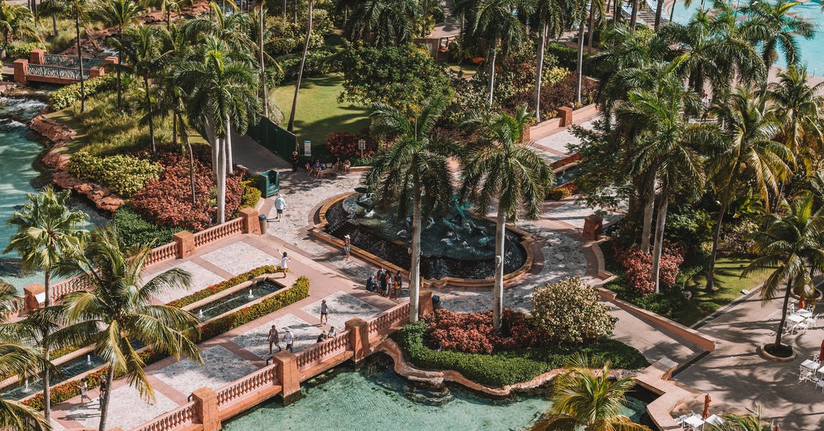 How do I get to nassau without any glitches occurring? - Aerial Photo of Palm Trees How do I get to nassau without any glitches occurring? - Aerial Photo of Palm Trees