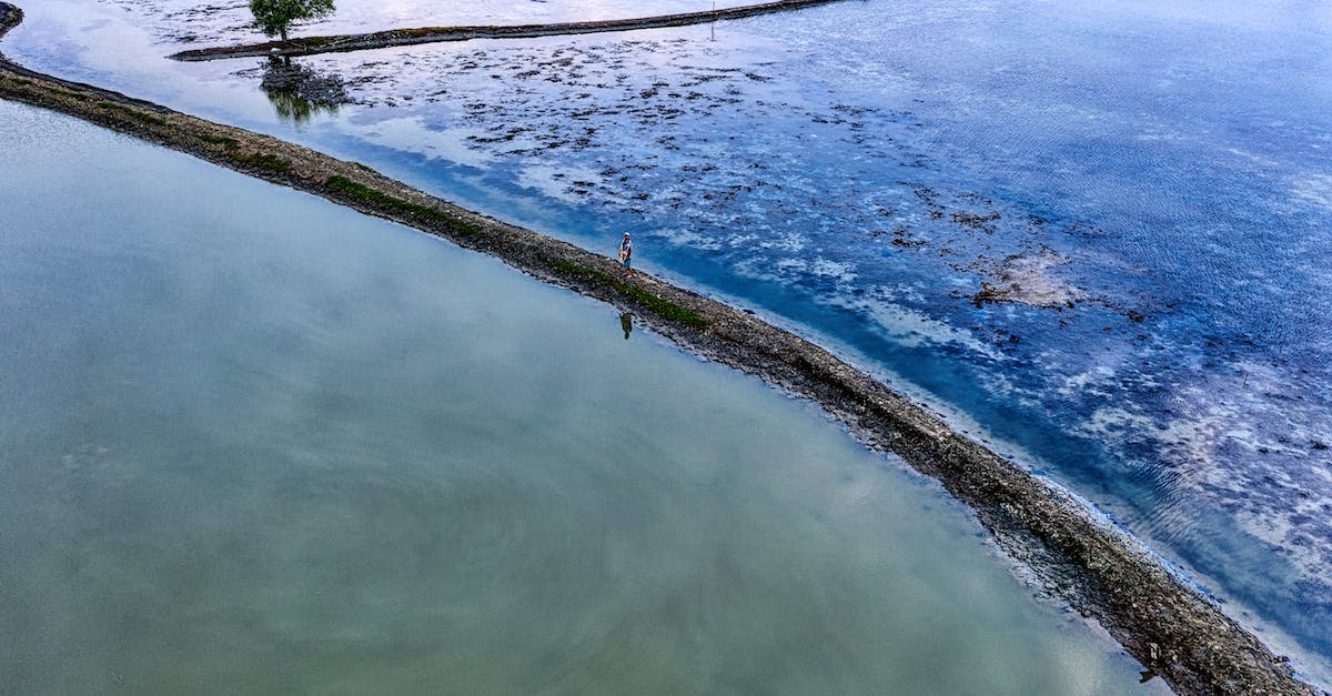 How do I know I am still on track for the achievements? - Wet rice fields in countryside