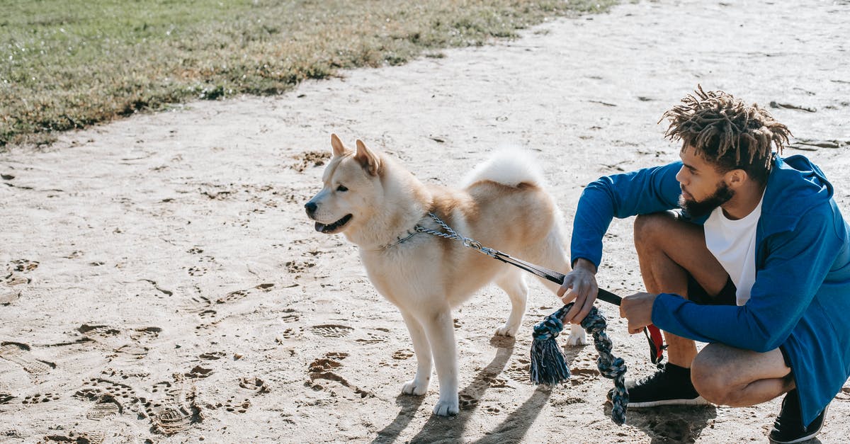 How do I land a combo after time runs out in Zen Mode? - Ethnic hipster man with West Siberian Laika on street How do I land a combo after time runs out in Zen Mode? - Ethnic hipster man with West Siberian Laika on street