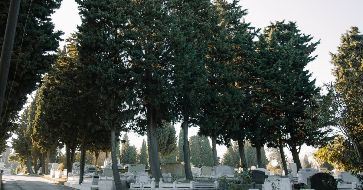 How do I launch Dead By Daylight in exclusive Fullscreen mode? - Aged cemetery with green trees How do I launch Dead By Daylight in exclusive Fullscreen mode? - Aged cemetery with green trees