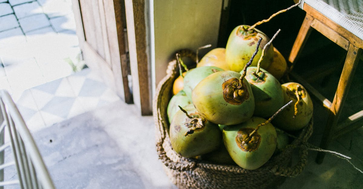 How do I make a simple Redstone Door with a lever that villagers can't go through? - From above of young light green coconuts in fabric basket next to old wooden stool in daytime