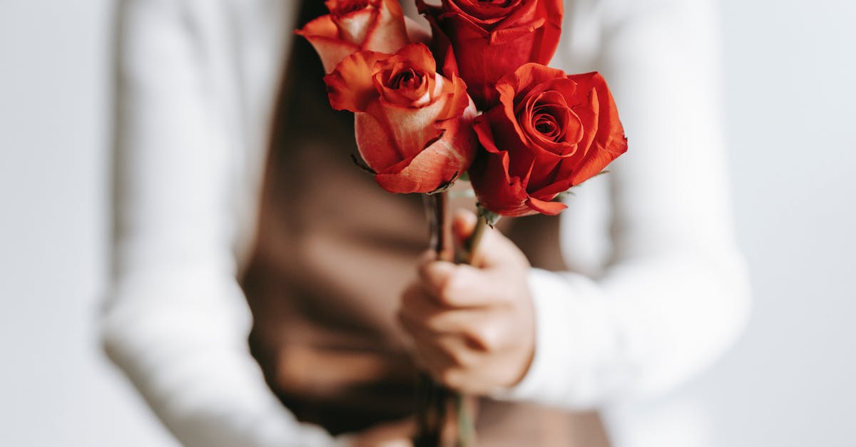 How do I make the comparator work and then stop? - Woman with branches of roses in hands