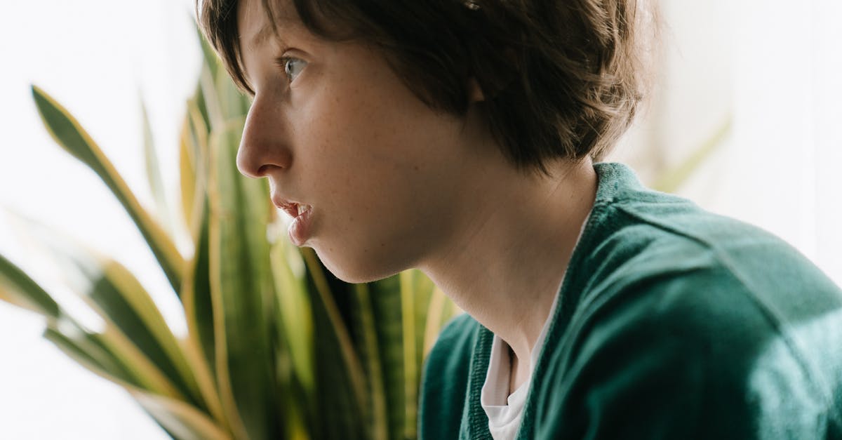 How do I make the player face different directions? - Woman in Green Shirt Looking Down How do I make the player face different directions? - Woman in Green Shirt Looking Down