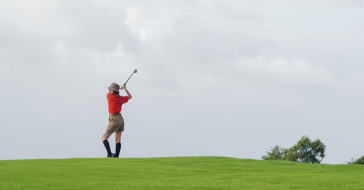How do I make the taskbar visible again when playing Minecraft? [duplicate] - Woman in Red Long Sleeve Shirt and Brown Skirt Standing on Green Grass Field