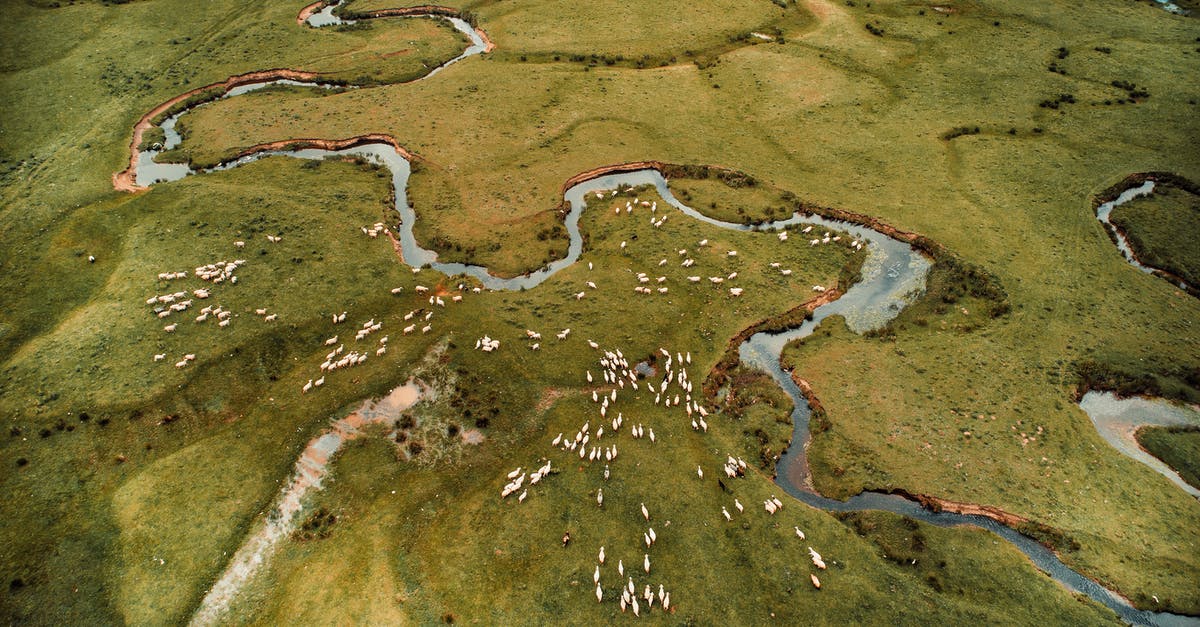 How do I move my farm animals? - Landscape of curving river surrounded by green fields with sheep