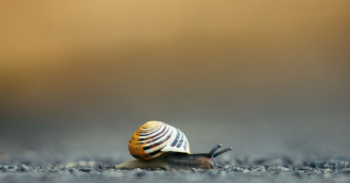 How do I move my farm animals? - Closeup of white lipped snail crawling on ground How do I move my farm animals? - Closeup of white lipped snail crawling on ground
