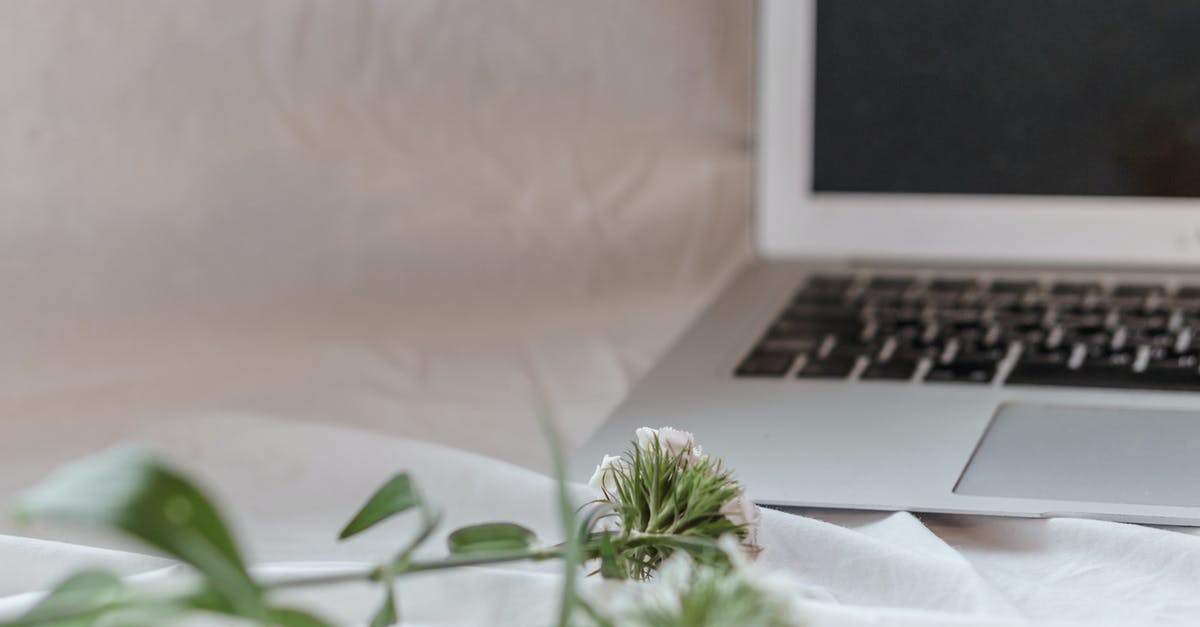 How do I open this spiky chest? - Portable computer near blooming flowers with thin stems and pointed wavy leaves on crumpled textile