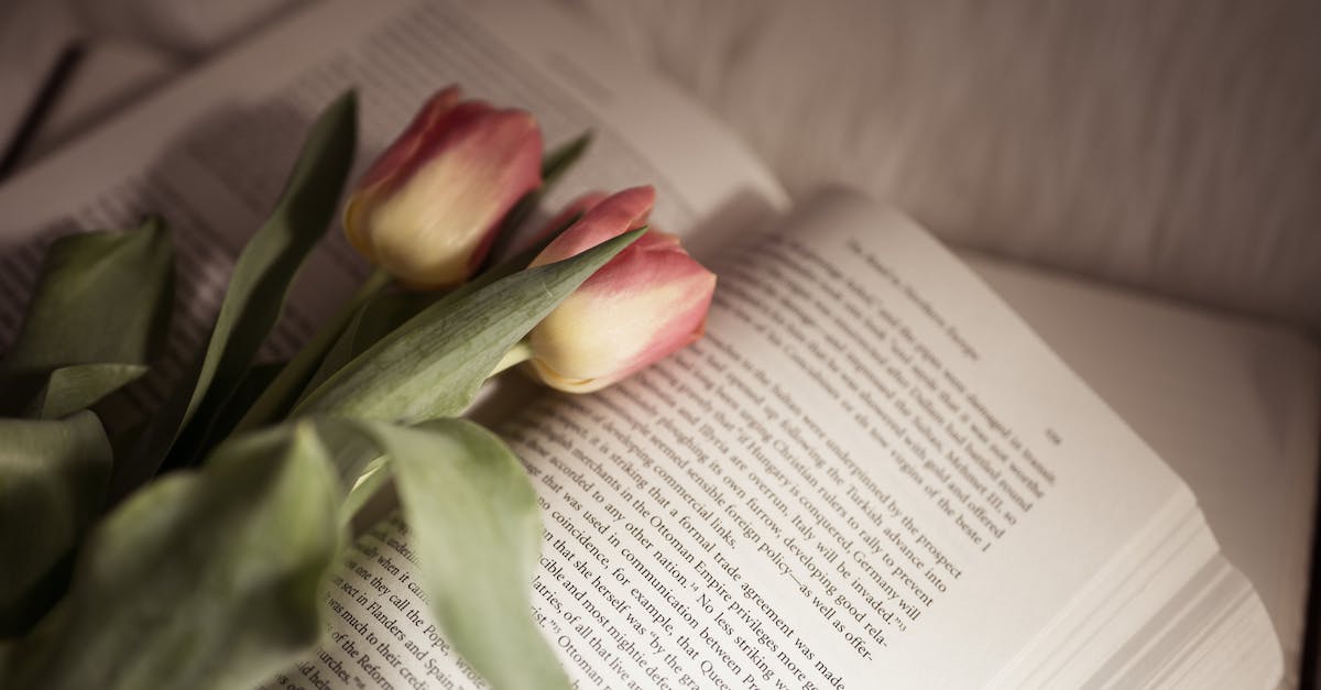 How do I open up other missions? - Tulips on Open Book How do I open up other missions? - Tulips on Open Book