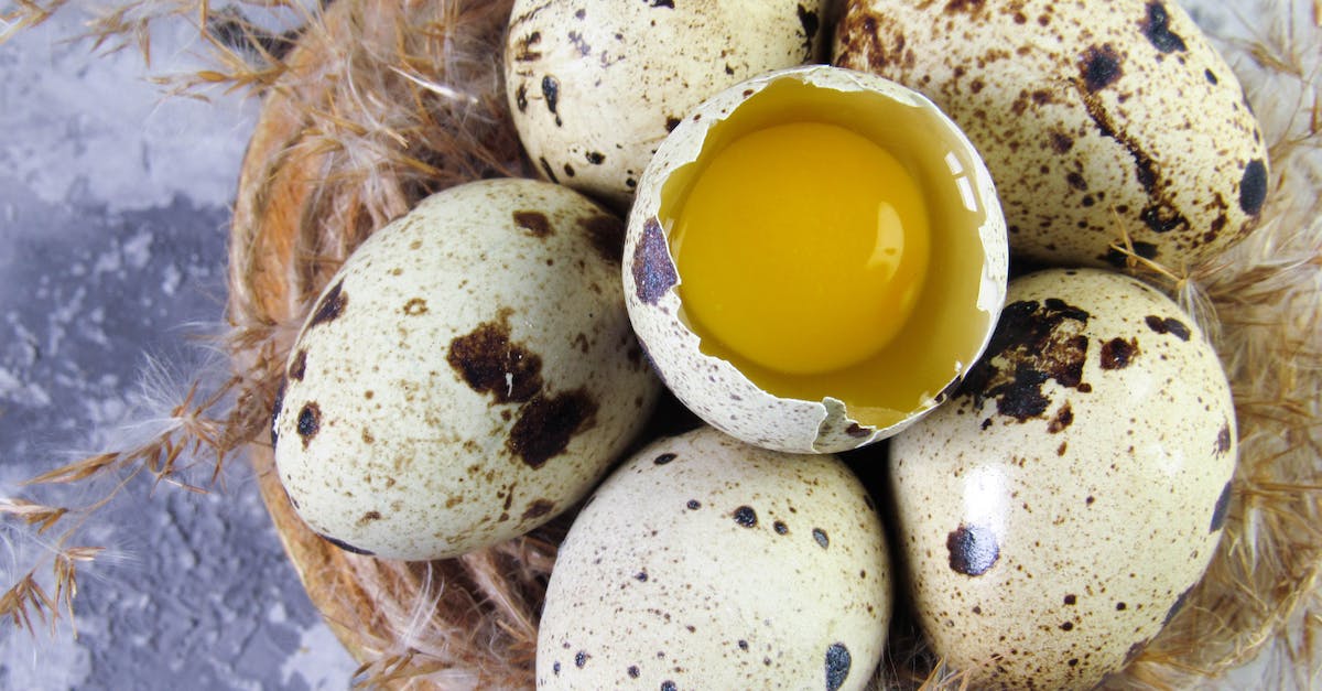 How do I open up other missions? - White and Yellow Egg on Brown Nest How do I open up other missions? - White and Yellow Egg on Brown Nest