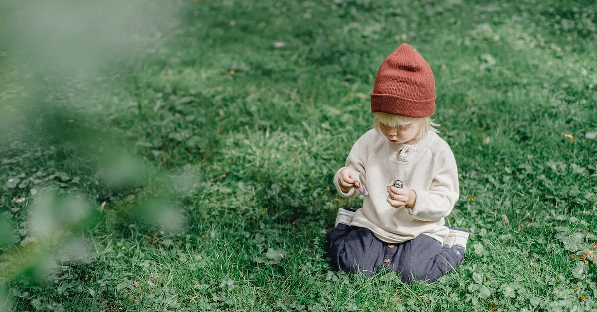 How do I pass Great Little War Game Mission 15? ("Holiday")? - Cute focused little boy in casual outfit and brown hat playing in yard in sunny summer day How do I pass Great Little War Game Mission 15? ("Holiday")? - Cute focused little boy in casual outfit and brown hat playing in yard in sunny summer day