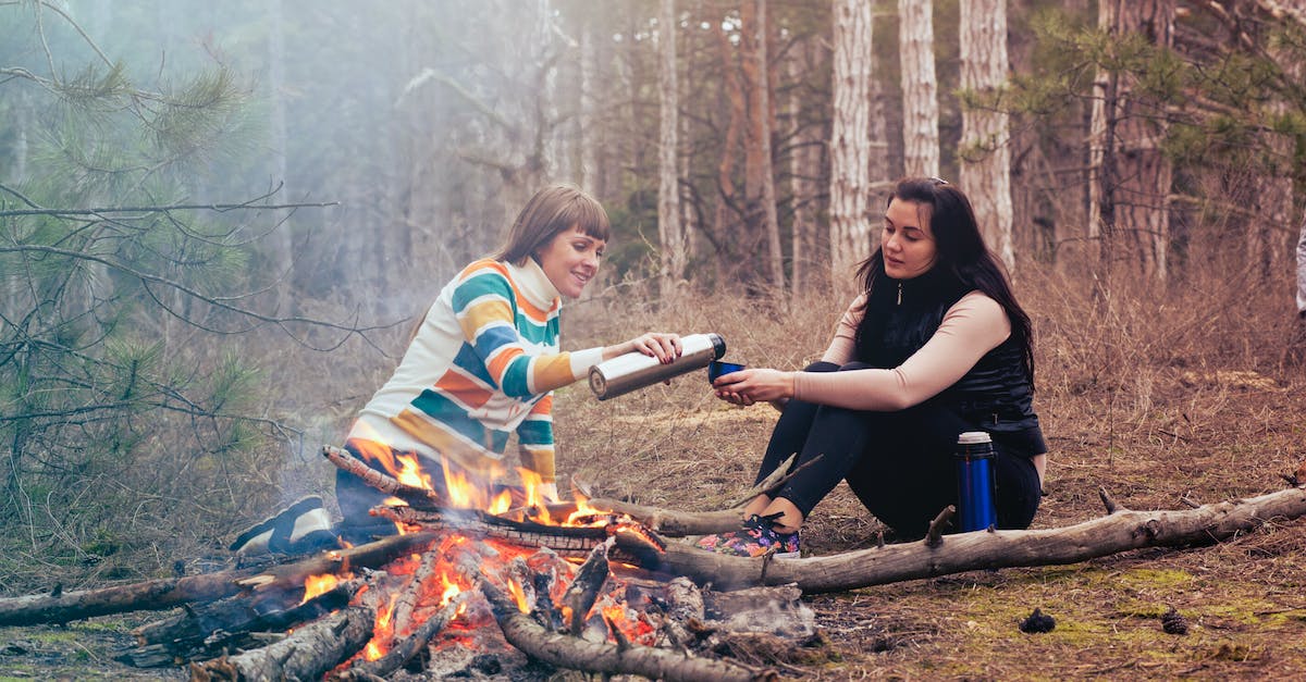 How do I pick-and-match licenses via Family Sharing if multiple friends own the same game? - Two Women Sitting in Front of Burning Firewood How do I pick-and-match licenses via Family Sharing if multiple friends own the same game? - Two Women Sitting in Front of Burning Firewood
